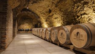Caves Mayor de Migueloa