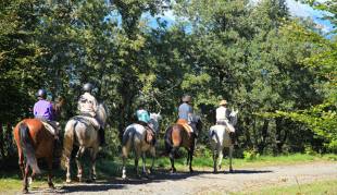 Rutas a caballo