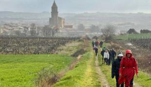 Senderismo: Camino Ignaciano por Rioja Alavesa